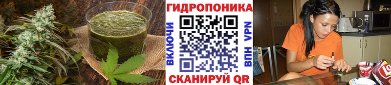 Canna-Cookies марихуана  ОМГ ОМГ зеркало  Балтийск 