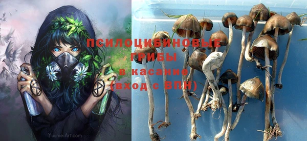 дживик Михайлов