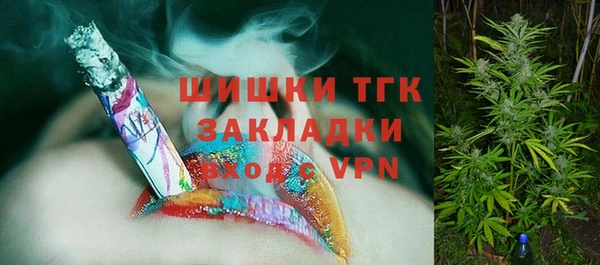 дживик Михайлов