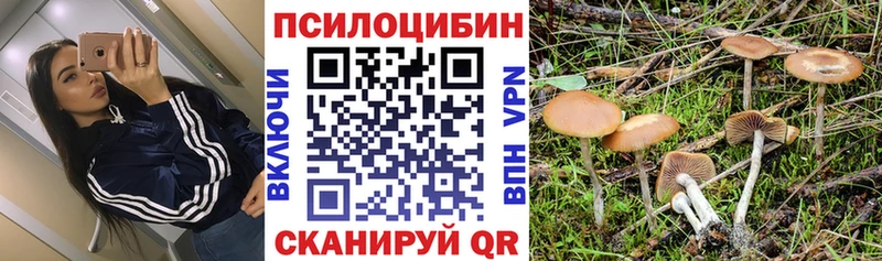 Псилоцибиновые грибы прущие грибы MEGA как зайти Балтийск