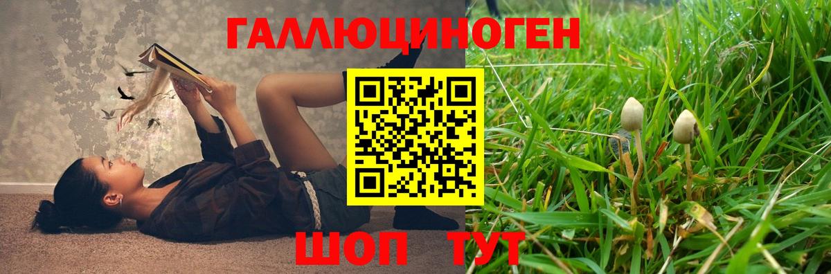 Псилоцибиновые грибы Magic Shrooms Балтийск