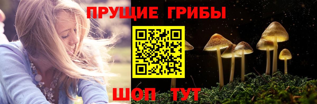 Балтийск  Галлюциногенные грибы ЛСД  Псилоцибиновые грибы Psilocybe  Вход с VPN 