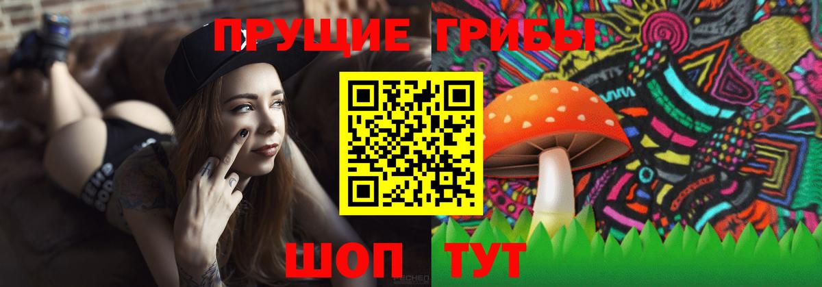 Codein Балтийск