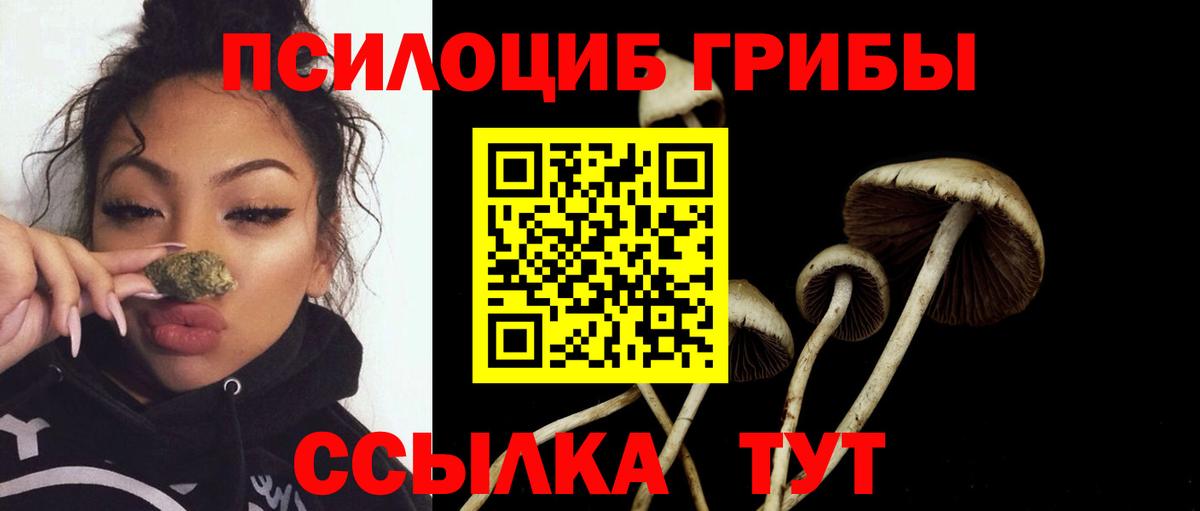 Галлюциногенные грибы GOLDEN TEACHER Балтийск