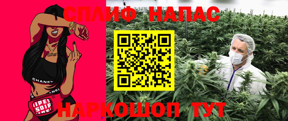 Бошки Шишки тримм Балтийск
